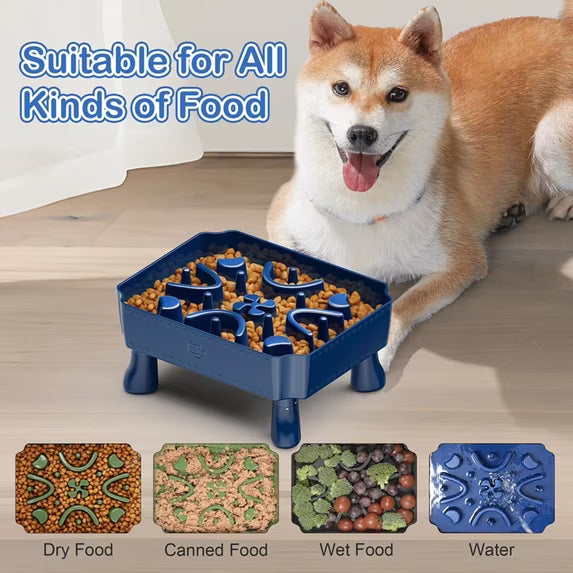 Elevated Slow Feeder Puzzle Bowl for Dogs 2-in-1 Maze, Large Breed