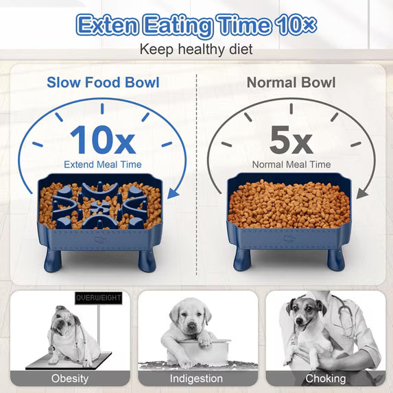 Elevated Slow Feeder Puzzle Bowl for Dogs 2-in-1 Maze, Large Breed