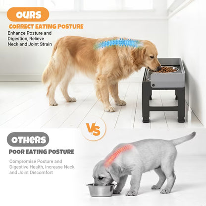 Elevated Dog Bowls Feeding, Raised Dogs Bowl Stand for Medium Large Dog