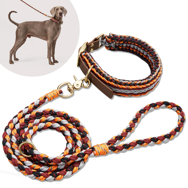 Adjustable Dog Harness – Stylish Woven Pet Harness for Everyday Walks High Quality