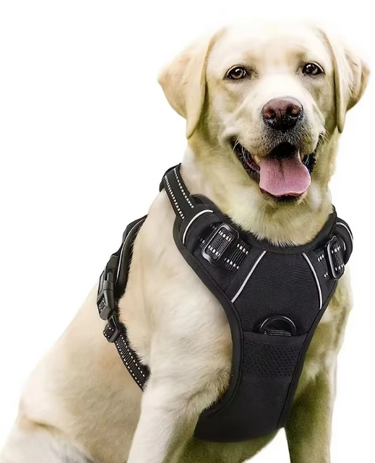 Reflective No-Pull Dog Harness with Easy-Lift Handle – Adjustable Vest for Walking & Training