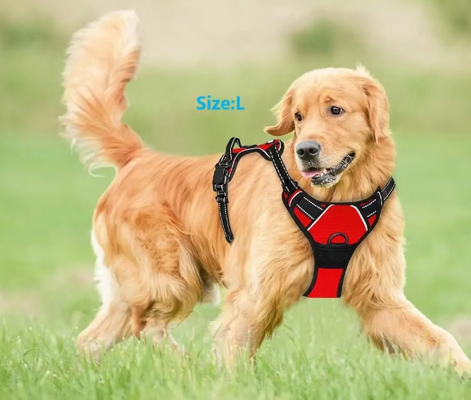 Reflective No-Pull Dog Harness with Easy-Lift Handle – Adjustable Vest for Walking & Training