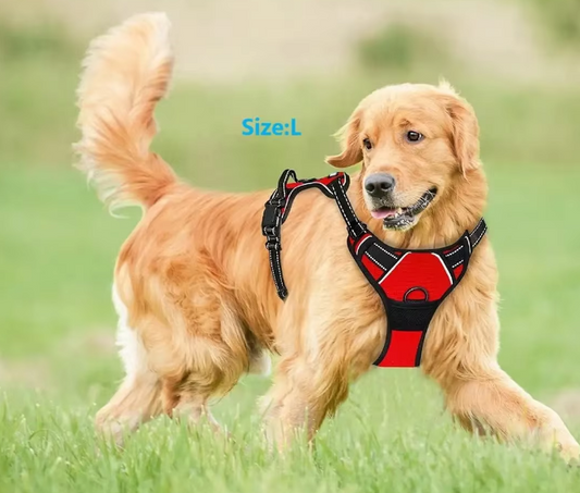 Reflective No-Pull Dog Harness with Easy-Lift Handle – Adjustable Vest for Walking & Training