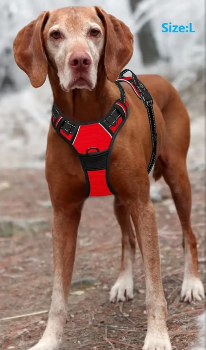 Reflective No-Pull Dog Harness with Easy-Lift Handle – Adjustable Vest for Walking & Training